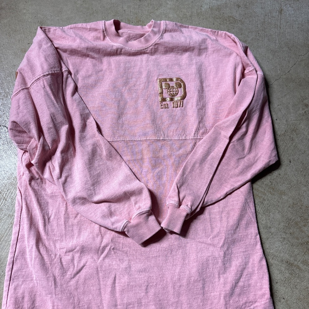 Disney world spirit Jersey